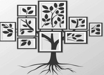 Quando observamos os frutos, percebemos que mesmo nascendo na mesma &aacute;rvore e sob as mesmas condi&ccedil;&otilde;es, eles n&atilde;o se desenvolvem da mesma maneira id&ecirc;ntica -  (crédito: Freepik)