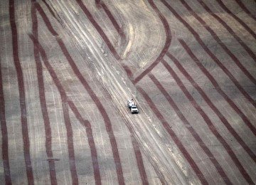 Caminhão passa por uma área desmatada da floresta amazônica, preparada para plantio, no município de Ipixuna do Pará, estado do Pará, Brasil, em 12 de novembro de 2025 -  (crédito: Foto por MAURO PIMENTEL / AFP)