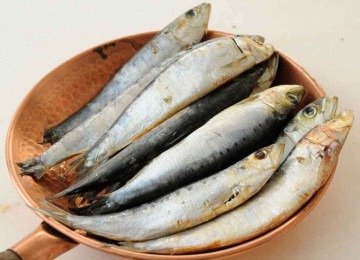 Sardinha Ã© rica em ÃŽmega-3, vitamina D, cÃ¡lcio e proteÃ­na. Enlatada, mantÃ©m grande parte dos nutrientes
 -  (crédito: Gladyson Rodrigues/EM/D.A Press)