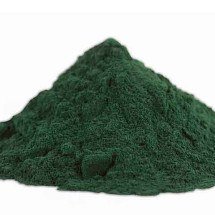 Como a spirulina pode ajudar na anemia e na fase da menopausa - Domínio Público/Wikimédia Commons