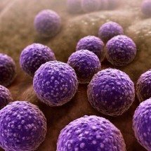 Bactéria resistente se espalha fora de hospitais e desafia protocolos médicos - Scientific Animations/Wikimedia Commons/Reprodução