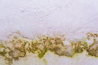 Como evitar mofo em casa com a chegada da frente fria e aumento das chuvas