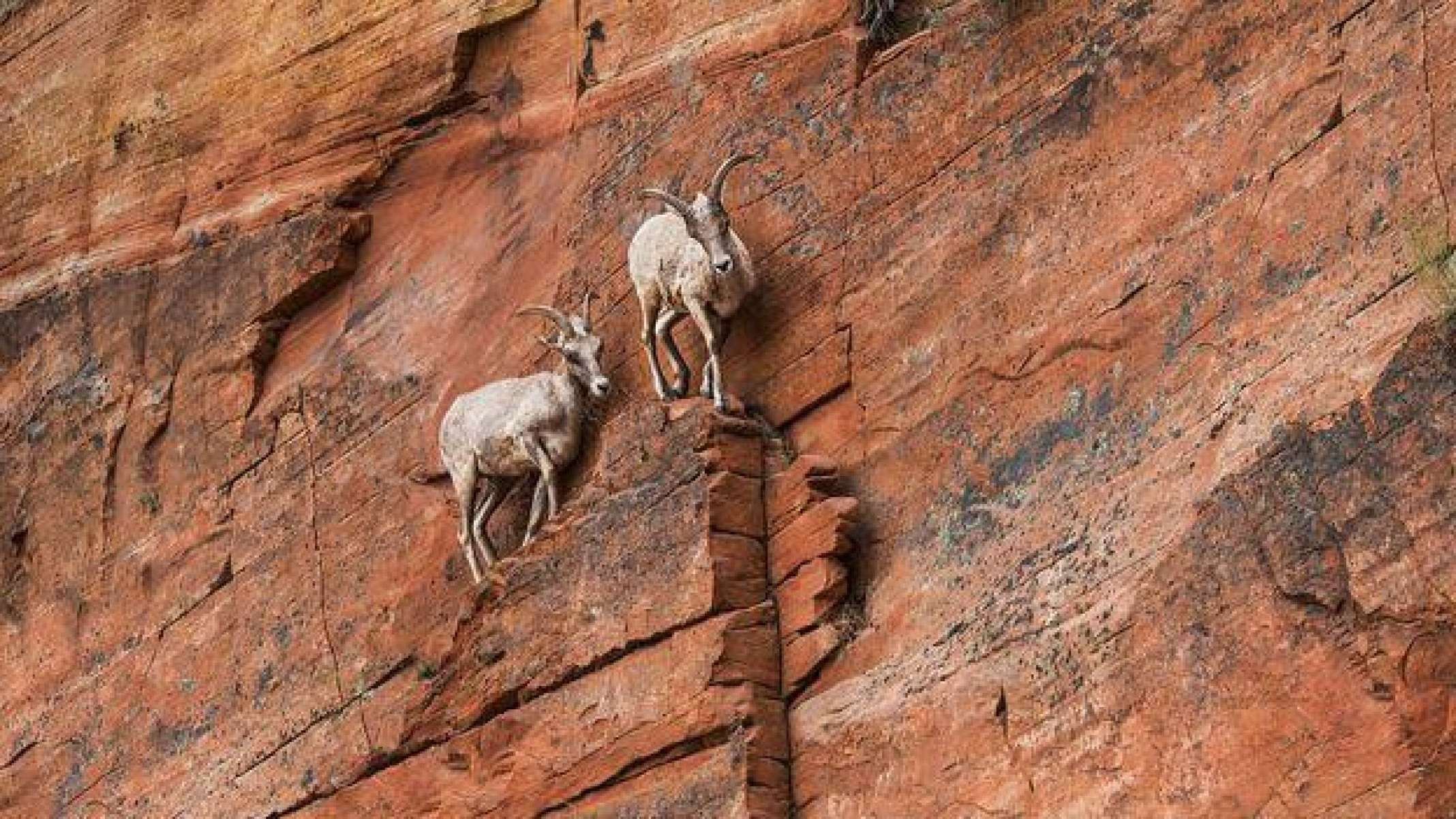 Pensar diferente sobre a ansiedade pode ajudar a transformar esta emoção em uma força positiva -  (crédito: Getty Images)