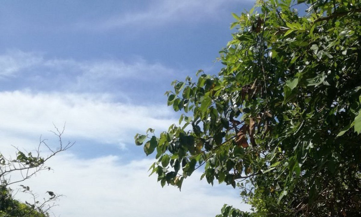 Praia da Daniela &eacute; um para&iacute;so escondido em Floripa