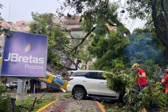 A Defesa Civil mantém alerta para possibilidade de chuva intensa de até 60 milímetros, com rajadas de vento de cerca de 50 km/h, válido até a manhã de sexta-feira (20) -  (crédito: Edésio Ferreira/EM/D.A Press)