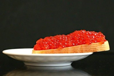 <p><span style='font-weight: 400;'>Iguaria de luxo que há décadas simboliza sofisticação e exclusividade, o caviar esteve entre os itens do cardápio do Governors Ball, a tradicional festa que reúne as estrelas de Hollywood após a cerimônia do Oscar 2026, realizada em Los Angeles. </span></p>
 -  (crédito: svklimkin/Pixabay)