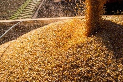 Sem moratória, área equivalente a dez cidades de SP pode ‘virar soja’ -  (crédito: Wenderson Araujo/Trilux)