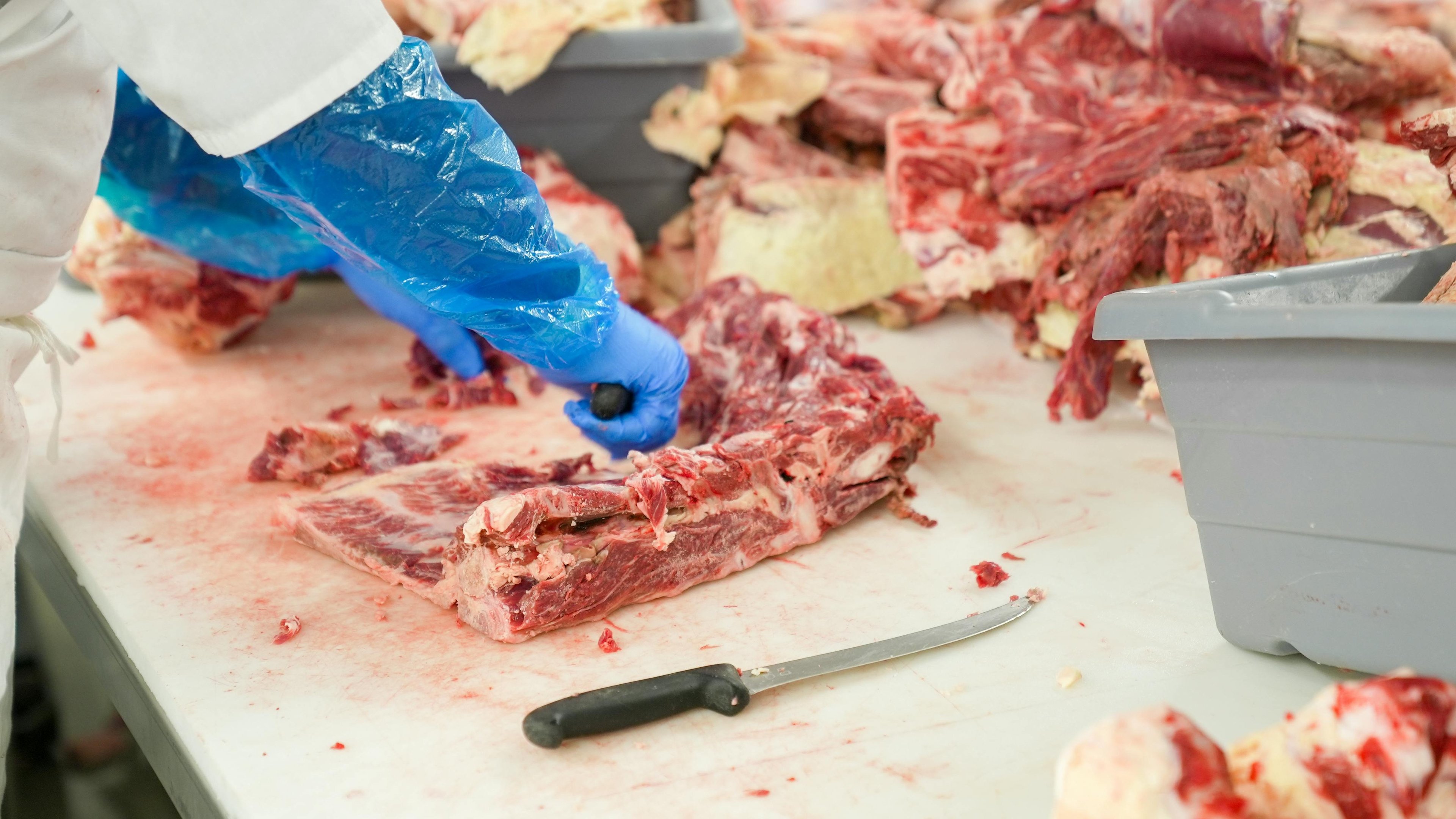 Manuseio de carne crua em a&ccedil;ougues e f&aacute;bricas alerta para os perigos da aus&ecirc;ncia de fiscaliza&ccedil;&atilde;o sanit&aacute;ria, tema da reportagem. -  (crédito: Pexels)