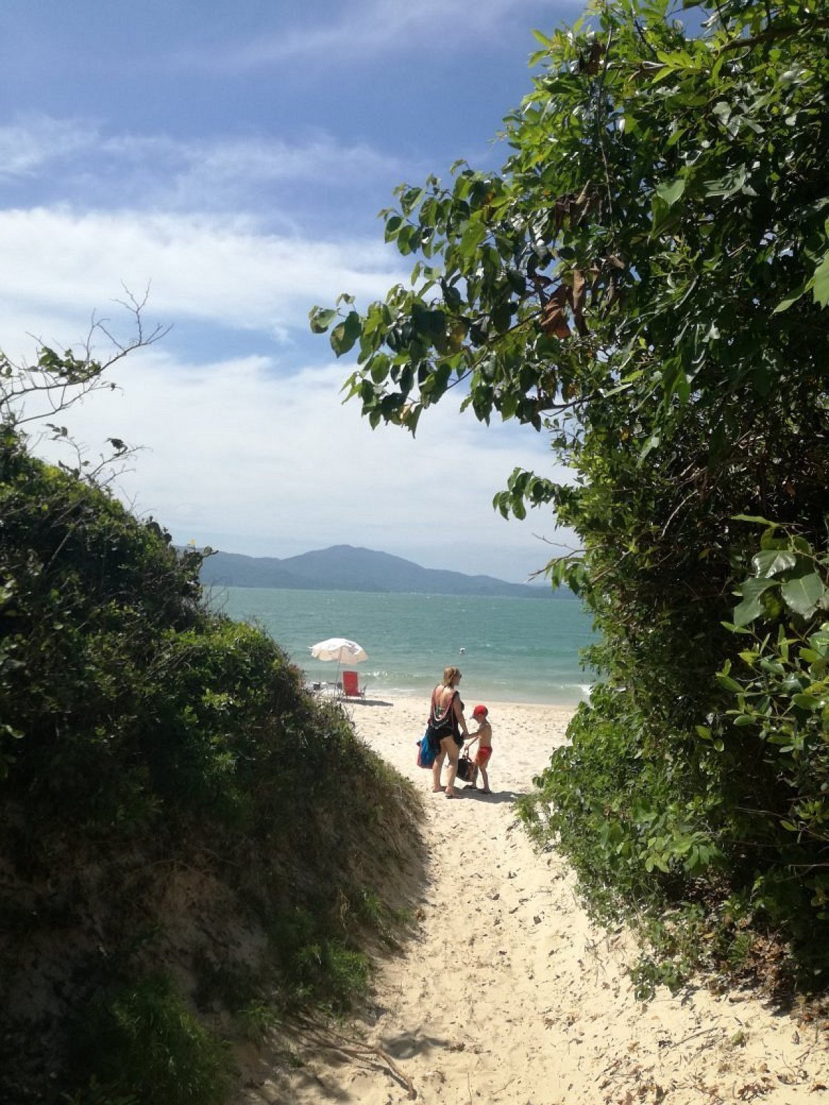 Praia da Daniela é um paraíso escondido em Floripa-TripAdvisor
