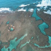 Costa dos Corais: maior recife costeiro do Brasil sofre com aquecimento e pressão ambiental - reprodução/
Viagens Cine