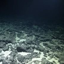 Mistério! Fileira de buracos alinhados a mais de 2 mil metros de profundidade no oceano intriga cientistas - Reprodução