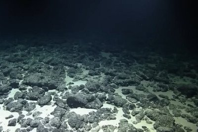<p>O fundo dos oceanos ainda é um dos ambientes menos explorados da Terra e uma descoberta realizada pela National Oceanic and Atmospheric Administration (NOAA), em 2022, reforçou esse mistério.</p>
 -  (crédito: Reprodução)