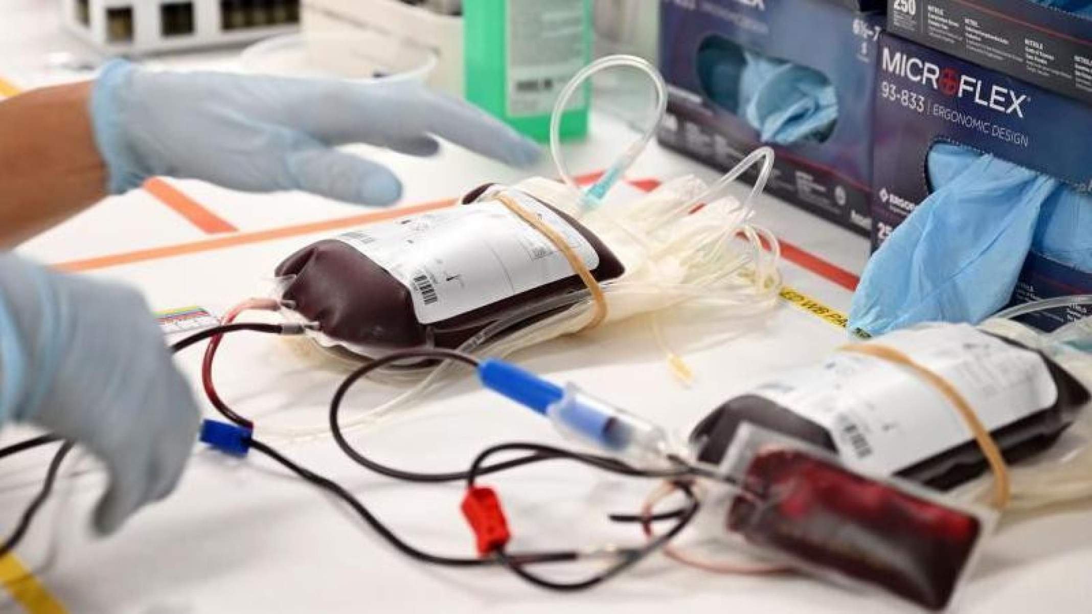 As novas regras das Testemunhas de Jeová para transfusão de sangue -  (crédito: BBC)