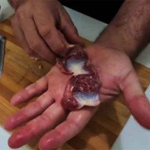 Barata e nutritiva: moela de frango é uma das proteínas mais completas -  Reprodução de Youtube