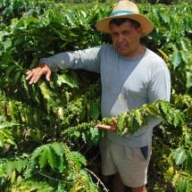 Ex-retirante do café hoje tem o prazer de plantar no próprio chão - Luiz Ribeiro/EM/D.A Press