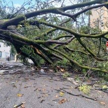 Temporal provoca alagamentos, queda de poste e árvores em BH - Alessandra Mello/ EM/ D.A Press