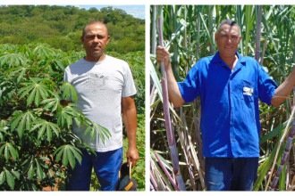 José Natalino e Jeremias dos Santos são ex-retirantes que retornaram para cuidar da própria terra -  (crédito: Luiz Ribeiro/EM/D.A Press)