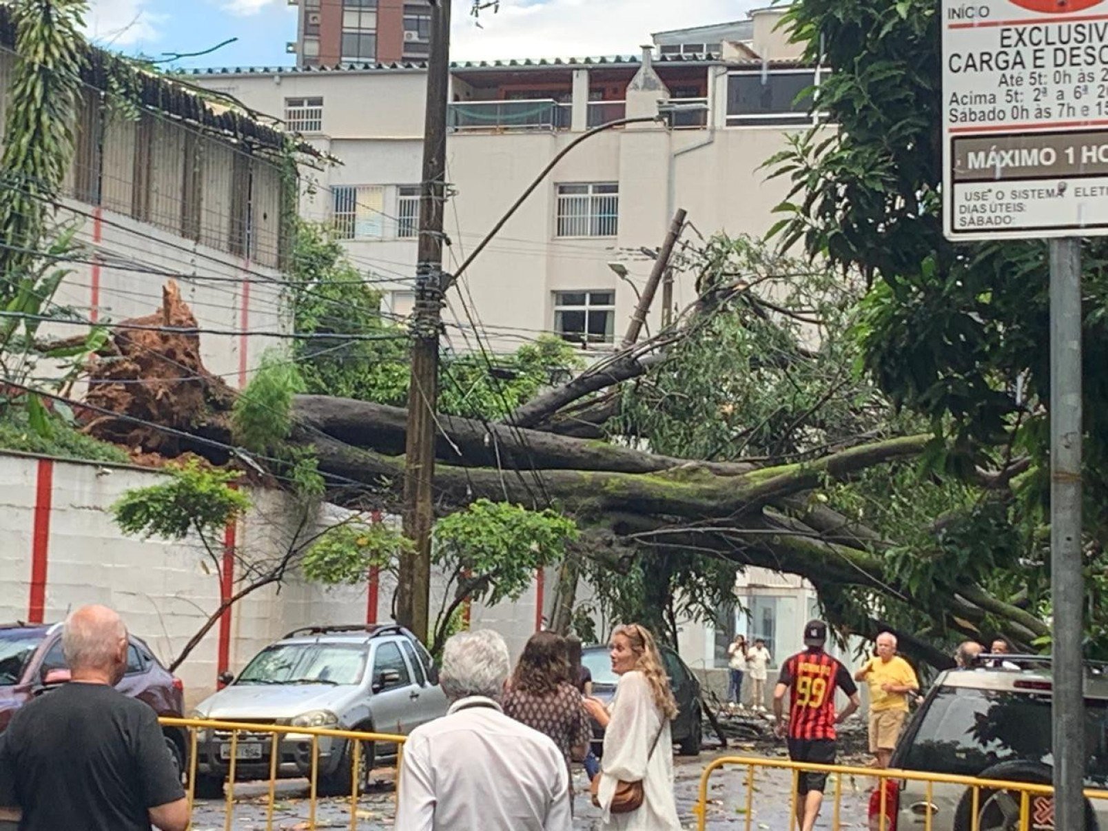 &Aacute;rvore ca&iacute;da no cruzamento entre as ruas Piau&iacute; e Tom&eacute; de Souza-Edilaine Vieira/Divulga&ccedil;&atilde;o