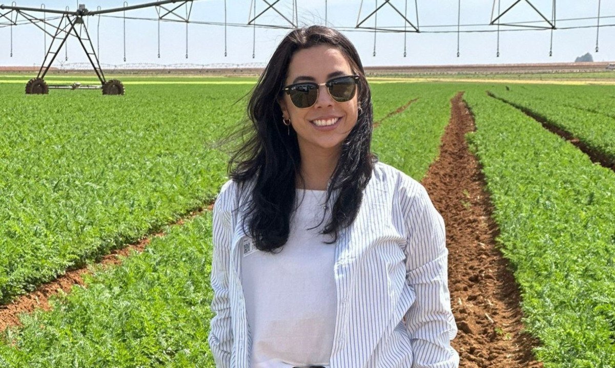 A cadeia produtiva do morango e suas entidades representativas denunciam a invas&atilde;o no mercado brasileiro do fruto vindo do Egito com pre&ccedil;o inferior ao de produ&ccedil;&atilde;o, e pedem uma investiga&ccedil;&atilde;o sobre a poss&iacute;vel pr&aacute;tica de dumping.