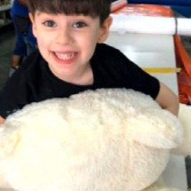 Defesa de Jairinho vai tentar adiar julgamento pela morte de Henry Borel - Reprodução/redes sociais