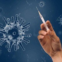 Fiocruz vai iniciar testes da primeira vacina RNAm contra a COVID-19  - Wilfried Pohnke pixabay