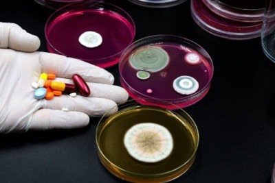 A resist&ecirc;ncia antimicrobiana, impulsionada pelo uso inadequado de antibi&oacute;ticos, &eacute; uma amea&ccedil;a global &agrave; sa&uacute;de. -  (crédito: iStock)