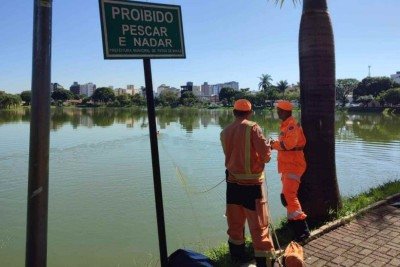 Os bombeiros retiraram um corpo de um homem ainda não identificado na manhã desta segunda-feira (23/3) -  (crédito: CBMMG / Reprodução )