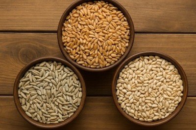 <p>O glúten é uma proteína presente no trigo, no centeio e na cevada. Em algumas pessoas, seu consumo pode provocar reações no organismo, que variam conforme a condição. Na d<span class='hover:entity-accent entity-underline inline cursor-pointer align-baseline'><span class='whitespace-normal'>oença celíaca</span></span>, por exemplo, há uma resposta autoimune que causa inflamação e danos ao intestino.</p>
 -  (crédito: Imagem gerada por i.a )