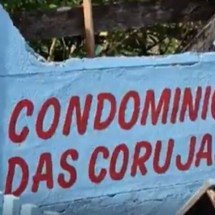 Comunidade cria curioso “Condomínio das Corujas” em bairro de Rondônia - Reprodução de vídeo / Globo