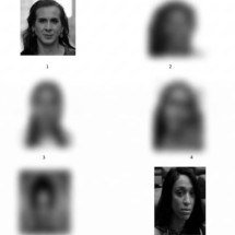 Fotos de Duda e Érika Hilton aparecem em álbum de reconhecimento de crimes