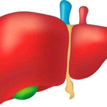Síndrome de Alagille: doença rara impacta saúde mental e financeira