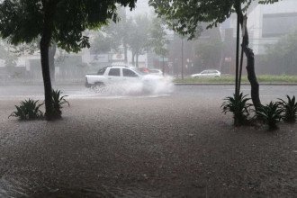 Segundo o comunicado, há possibilidade de alagamentos, enxurradas e ocorrências associadas a ventos fortes e descargas elétricas, especialmente em áreas de encosta e regiões próximas a córregos e ribeirões -  (crédito: Crédito: Marcos Vieira/EM/D.A Press)