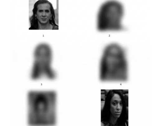 Fotos de Duda Salabert e Erika Hilton são usadas como suspeitas em reconhecimento policial -  (crédito: DIVULGAÇÃO)