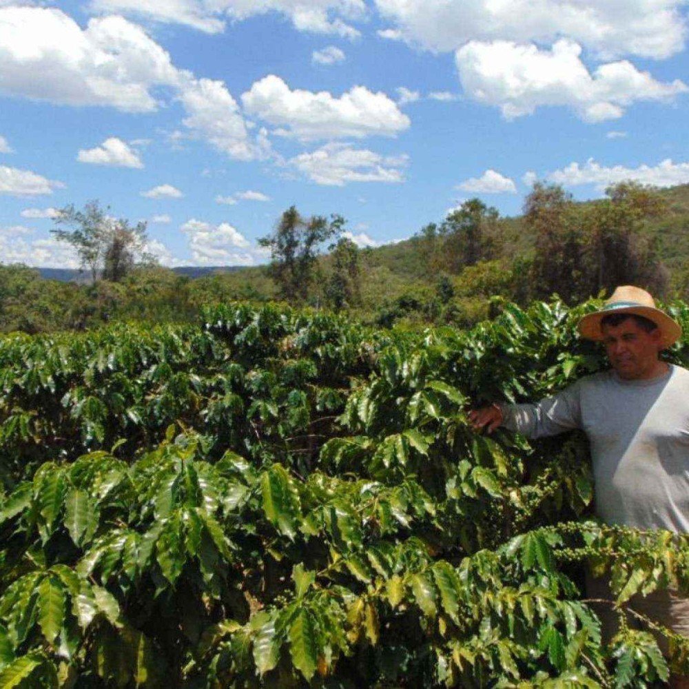 Alerta para os efeitos do El Niño na agricultura e pecuária em MG