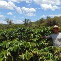 Alerta para os efeitos do El Niño na agricultura e pecuária em MG - Luiz Ribeiro / EM / D.A Press