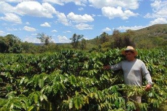 Alerta para os efeitos do El Niño na agricultura e pecuária em MG