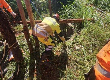 Funcionários do galpão ouviram um barulho ao chegarem para trabalhar -  (crédito: Reprodução/CBMMG)