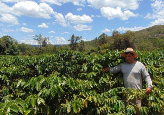 Alerta para os efeitos do El Niño na agricultura e pecuária em MG