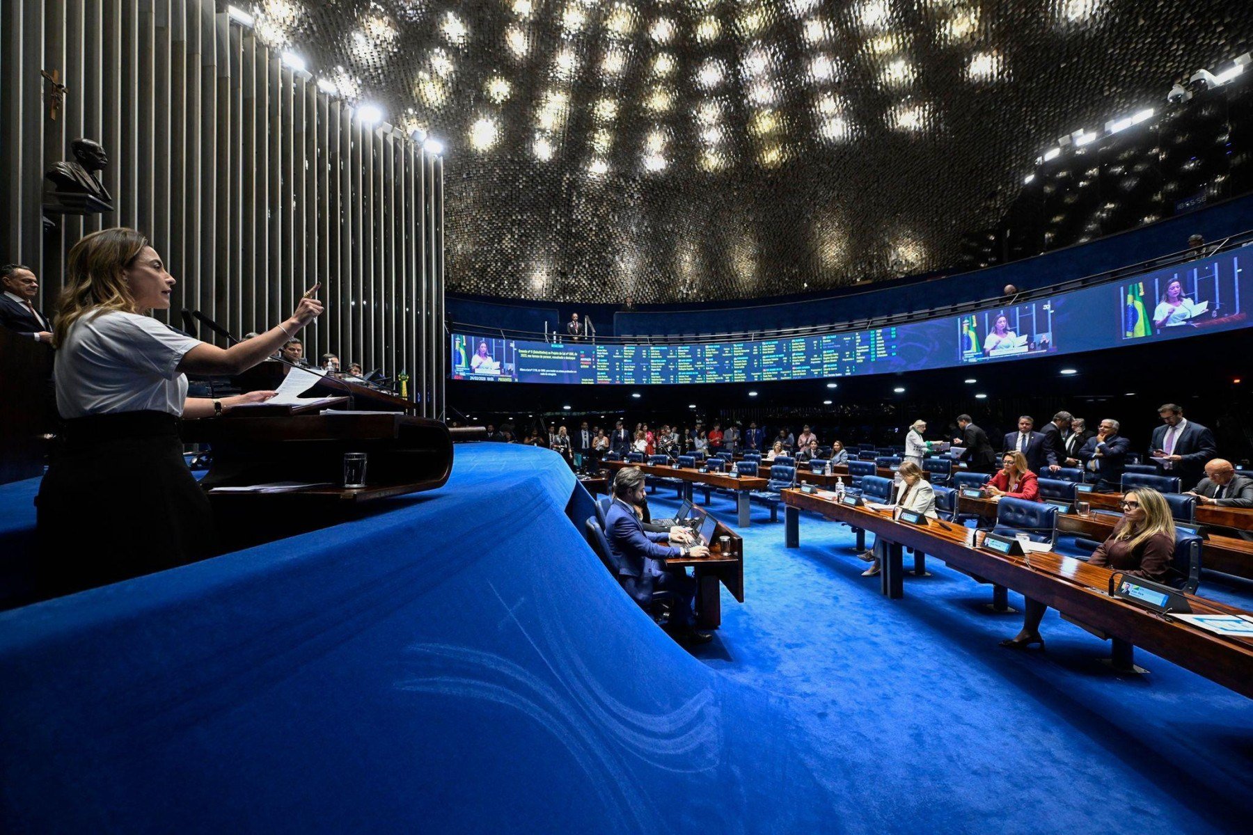 Autora do PL 896/2023, senadora Ana Paula Lobato (PSB-MA) posa para foto com cartaz que diz: 'Pela criminalização da misoginia' -  (crédito: Carlos Moura/Agência Senado)