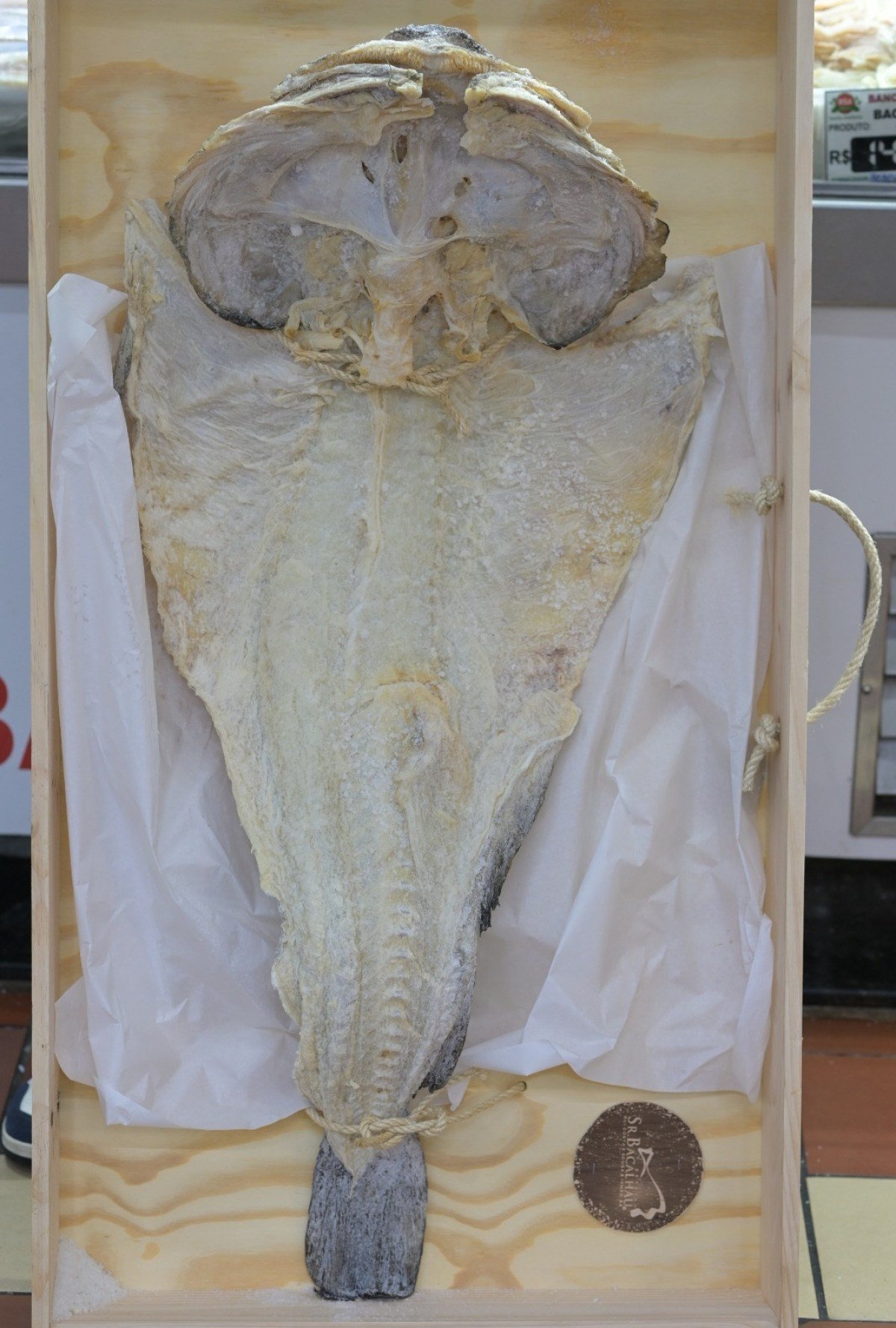 A Banca Santo Ant&ocirc;nio conseguiu dois bacalhaus com cabe&ccedil;a 