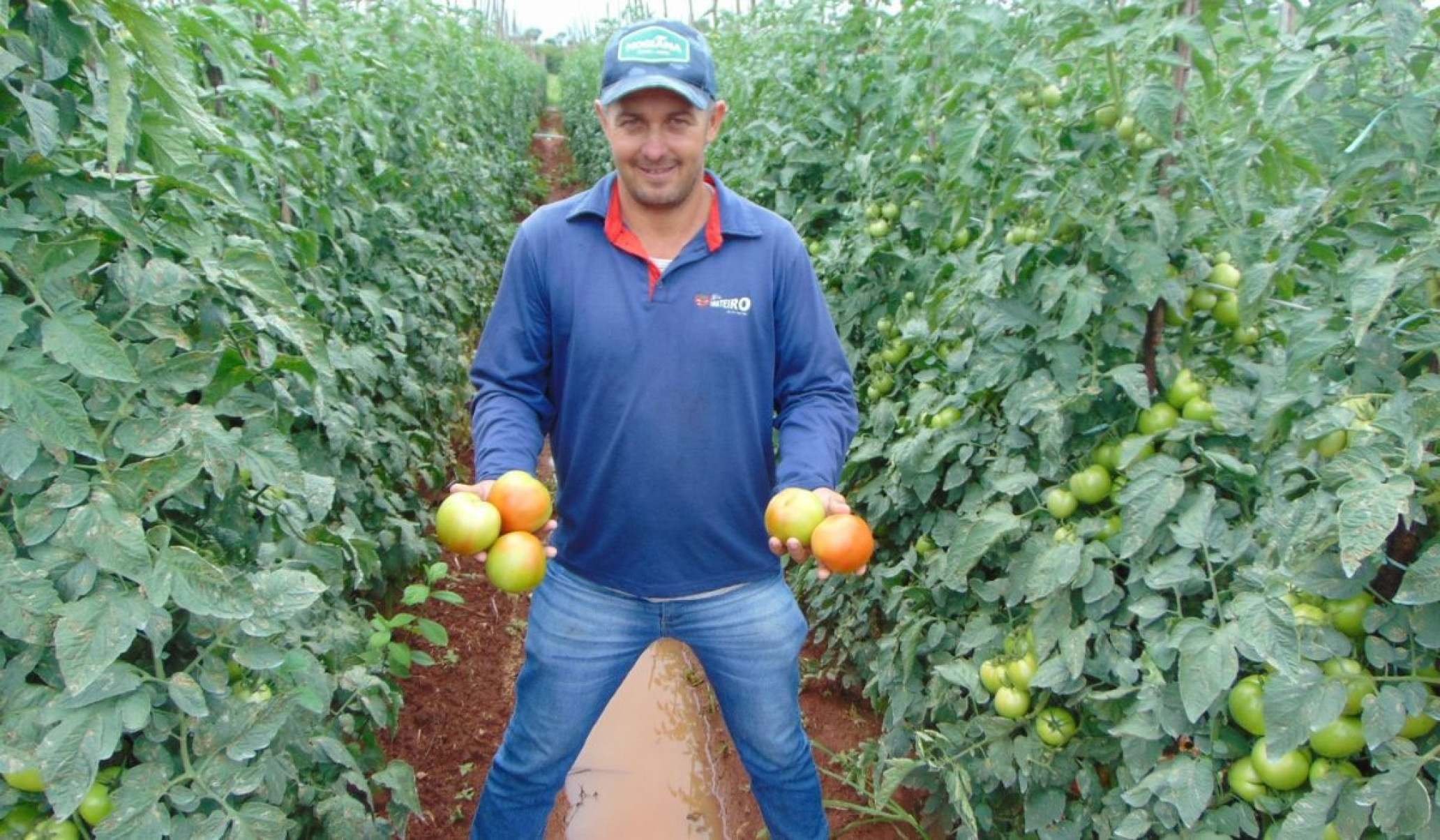 Esli Dur&atilde;es Neto deixou a terra natal para trabalhar longe de casa. Voltou &agrave; origem e planta tomate