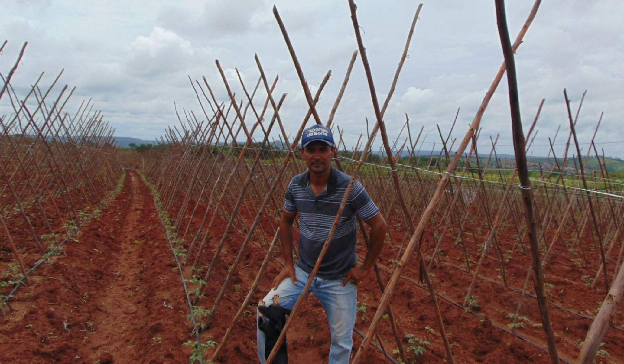 Narbal da Cruz Silva trocou o emprego na industria automobil&iacute;stica em S&atilde;o Paulo pela vida simples na terra natal, Ferreir&oacute;polis, perto de Nova Matrona, no munic&iacute;pio de Salinas. "Aqui n&atilde;o tem Ifood, mas tem comida simples, um frango caipira"