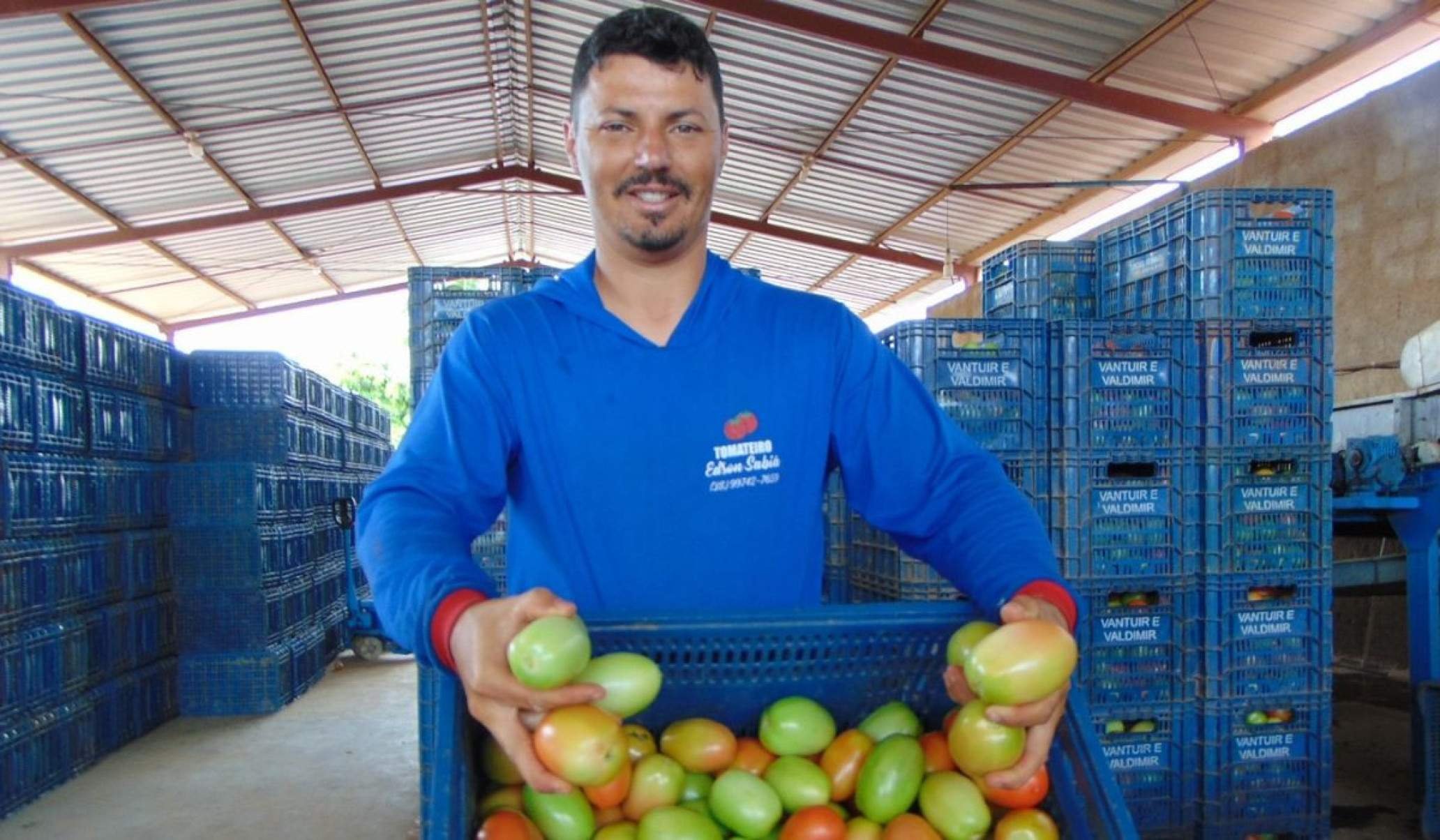 Ex-migrante Edson Leandro de Oliveira mostra o tomate de qualidade que produz em Nova Matrona
