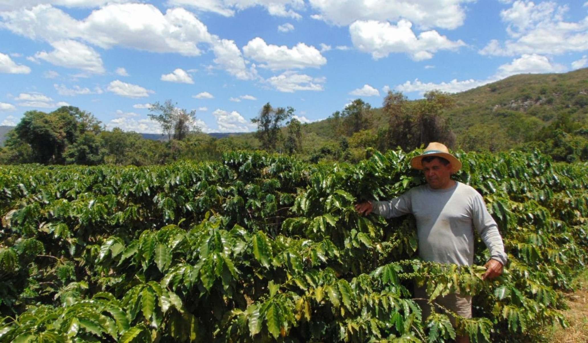 Almecy Felipe de Souza, de Serranopolis de Minas. Durante 21 anos saiu de casa para trabalhar na colheita de caf&eacute;. Retornou &agrave; terra natal e virou produtor de caf&eacute; de qualidade