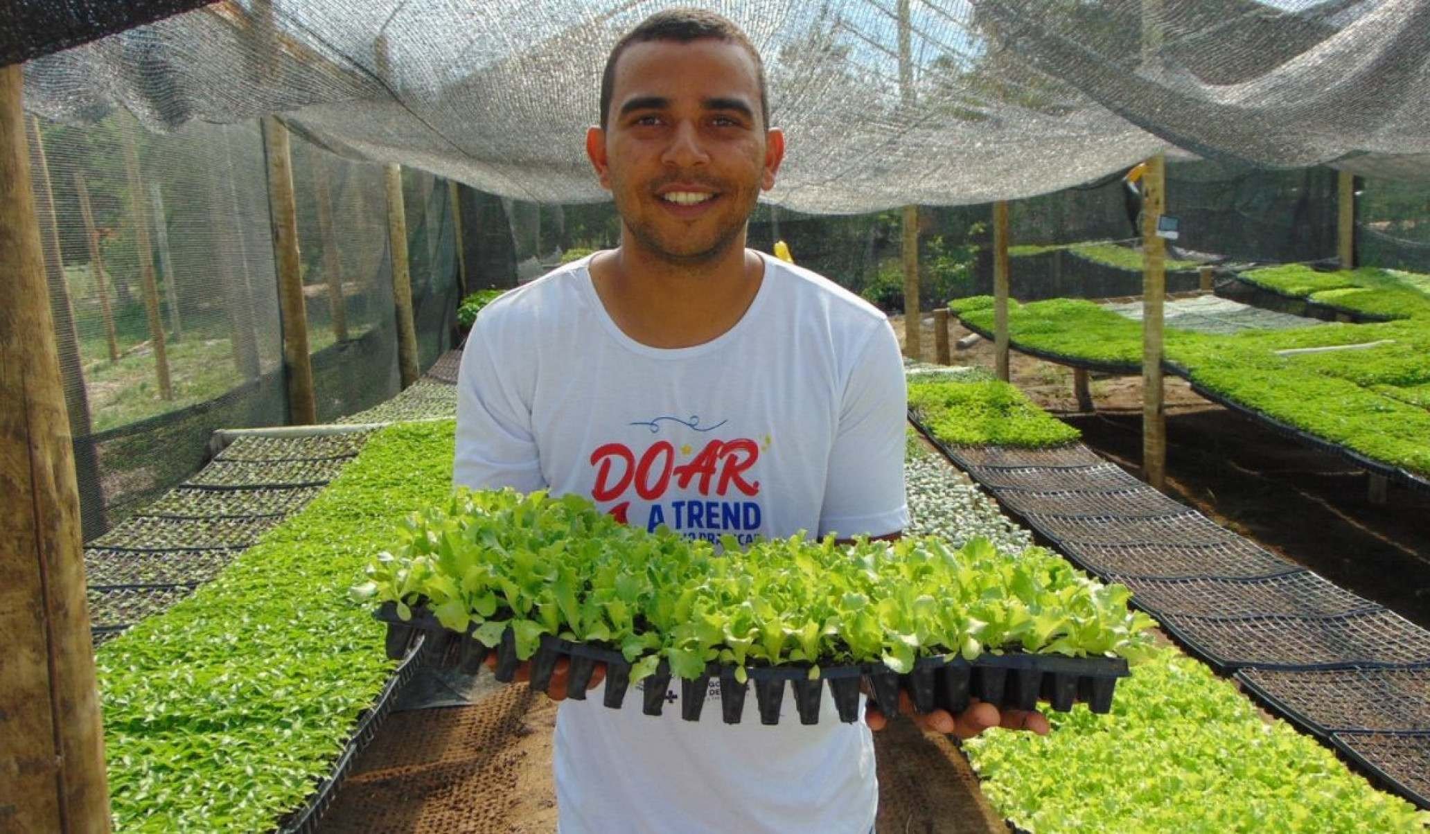 Ex-retirante Marcos Antonio Batista Rocha virou produtor de mudas de hortali&ccedil;as em Olhos D &Aacute;gua, na zona rural de Porteirinha