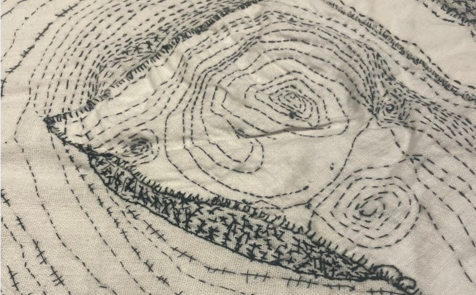 O trabalho de Fani sempre foi marcado pelas cores. Nesta exposi&ccedil;&atilde;o, ela apresenta nova faceta com foco no preto e no branco. -Reprodu&ccedil;&atilde;o