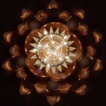 ‘Rainha-da-noite’: flor que desabrocha apenas uma vez por ano inspira templo do festival ‘Burning Man 2026’ - Divulgac?a?o/Annie Locke Scherer