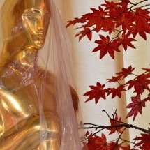 Cerimônia do Oscar não será no Dolby Theatre a partir de 2029 - Frederic J. Brown/AFP)