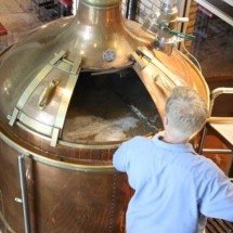 Teor alcoólico e transformações químicas explicam diferenças entre fermentação e a destilação; veja - cerdadebbie/Pixabay