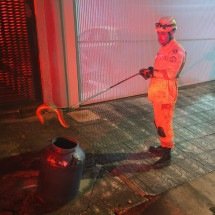 Bombeiros capturam cascavel em calçada movimentada